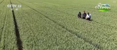“评脉会诊”帮力聪慧田管 “数智”良方夺高产